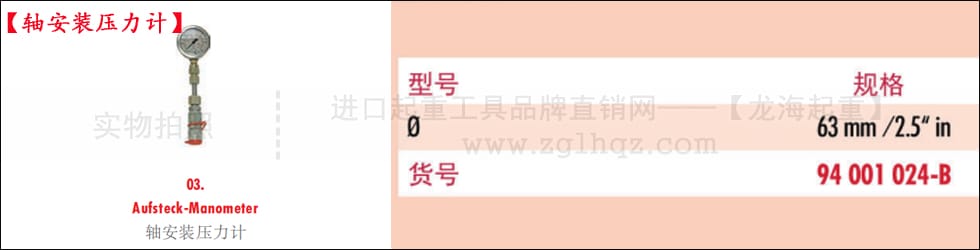 德國JUNG千斤頂配件：軸安裝壓力計