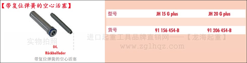 德國JUNG千斤頂配件：帶復(fù)位彈簧的空心活塞