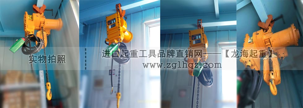 龍升防爆環(huán)鏈電動(dòng)葫蘆工程案例圖